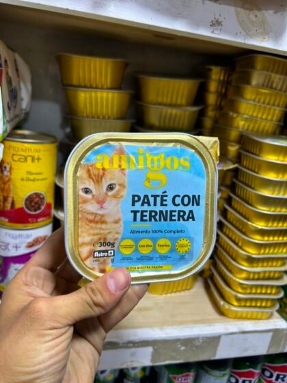 Pâté cat 300g