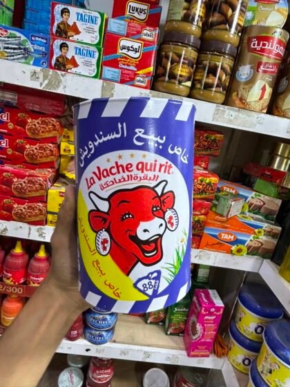 La vache qui rit 88p